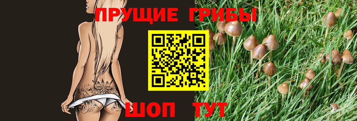 Псилоцибиновые грибы Magic Shrooms Норильск
