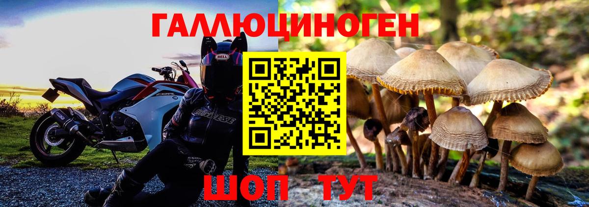 сколько стоит  Вход с VPN  Норильск  Псилоцибиновые грибы Cubensis 